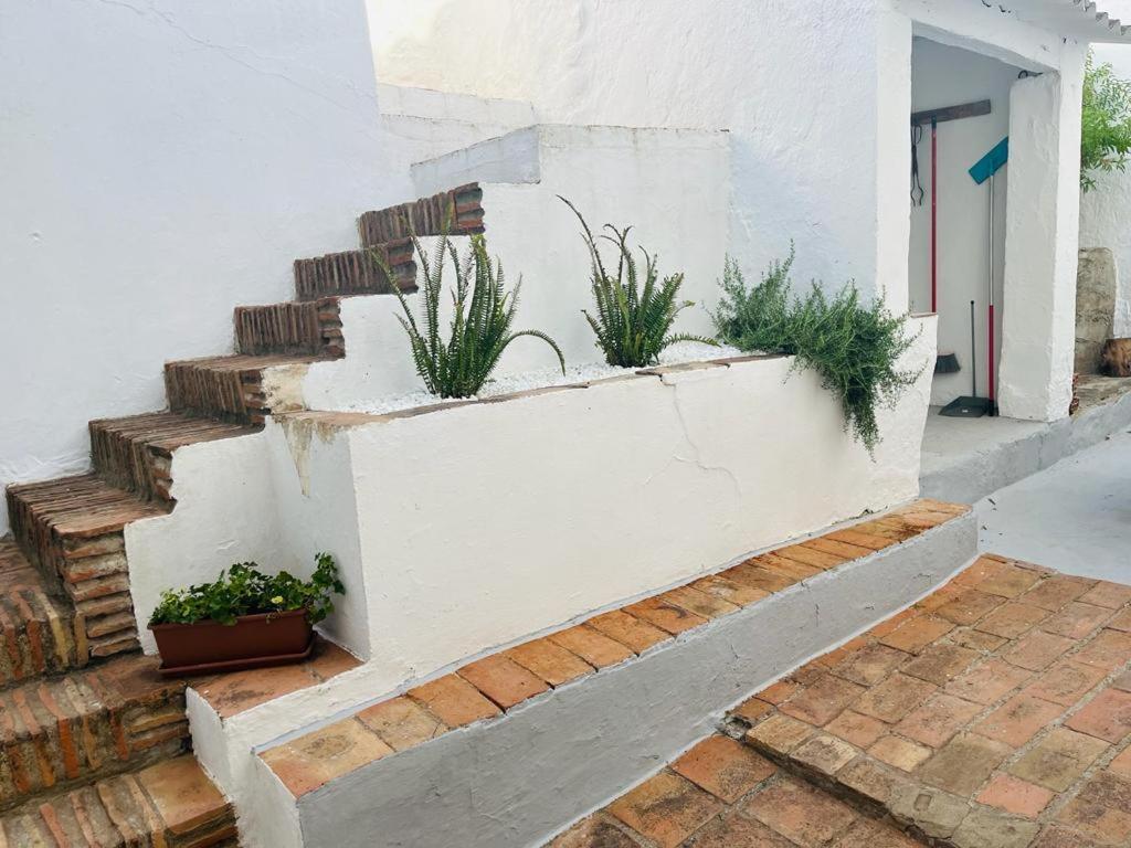 Casa Rural Dona Catalina 히메나 델 라 프론테라 외부 사진